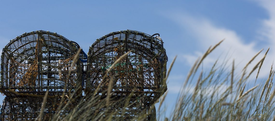 lobster pots against a blue sky with sea grasses in foreground